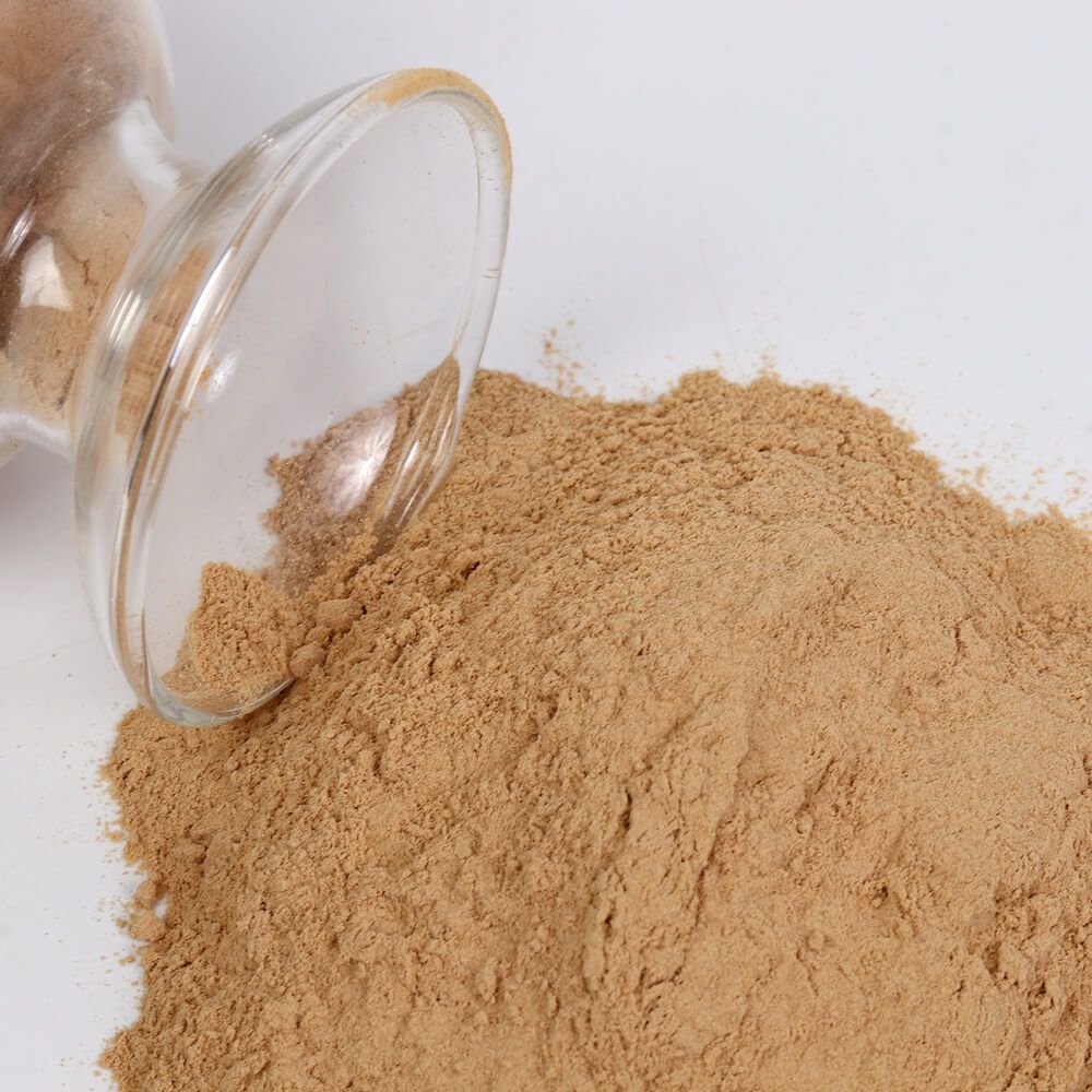 Beer Yeast Hydrolysate